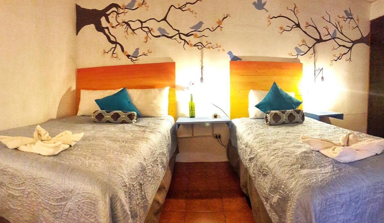 Hotel Y Arte Norte Antigua Esterno foto